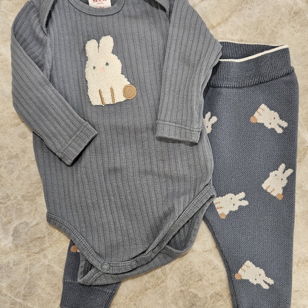 Adorable Gray Baby Outfit with Bunny Design